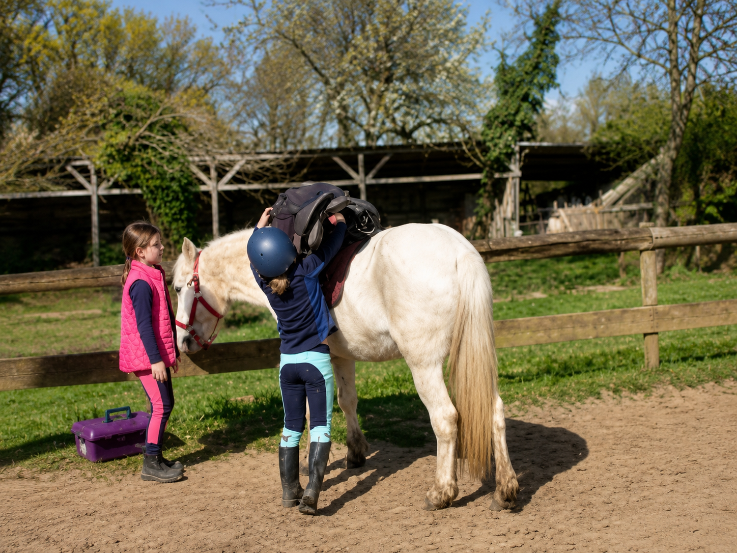 Préparation du poney avant la séance