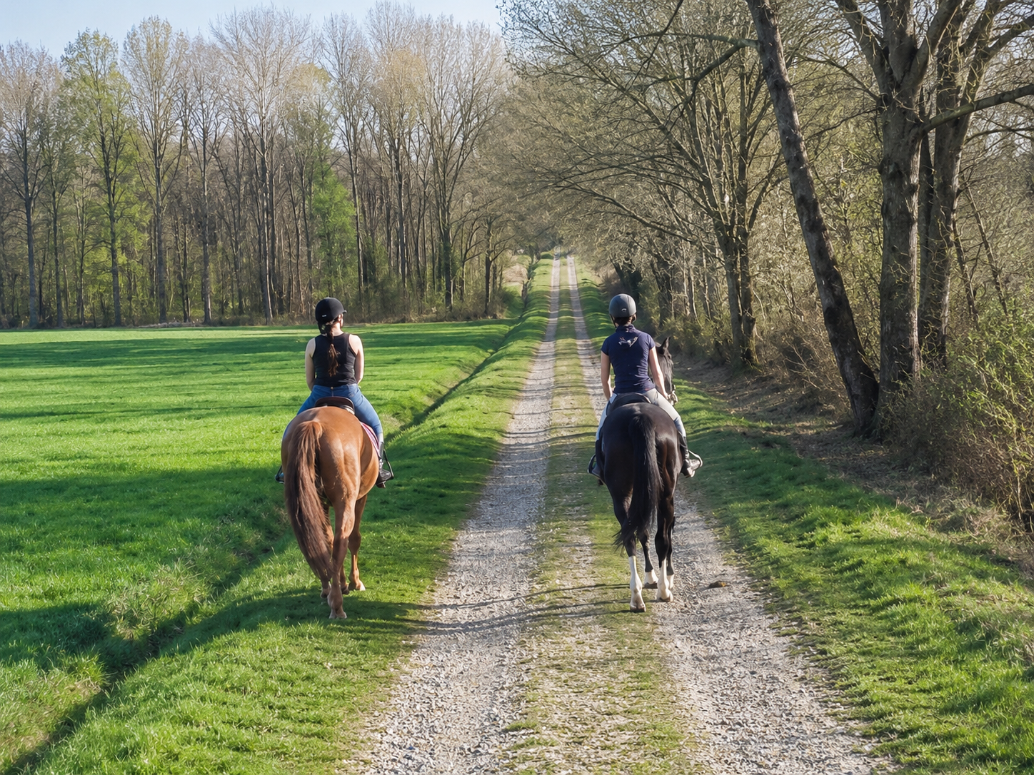 Cavaliers en balade à poney autour de Renac
